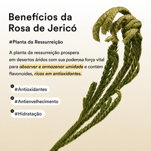 Máscara para os Olhos de Colágeno Vegano Abib | Antiolheiras